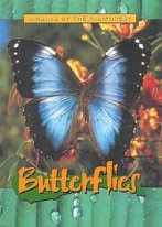 Animals of the Rainforest: Butterflies (Animals of the Rainforest) (9781844211128) by Sandra Donovan; Eric Braun