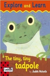 Imagen de archivo de The Tiny Tiny Tadpole a la venta por WorldofBooks