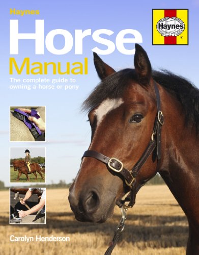 Stock image for Horse Manual: The Complete Guide to Owning a Horse or Pony for sale by WorldofBooks