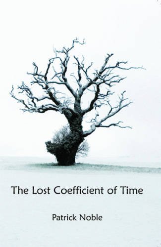 Stock image for The Lost Coefficient of Time for sale by PBShop.store US