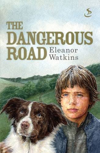 9781844273027: The Dangerous Road