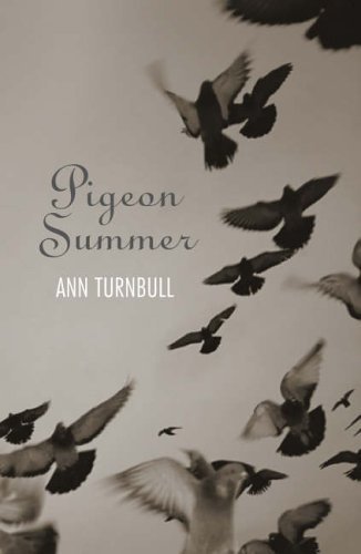 9781844281398: Pigeon Summer