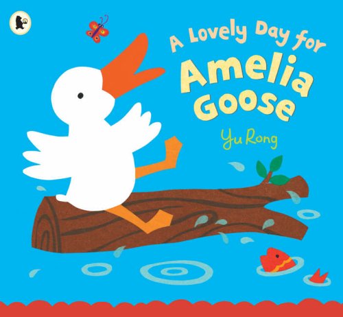 9781844285334: Lovely Day For Amelia Goose