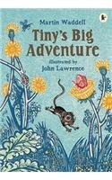 9781844285389: Tiny's Big Adventure