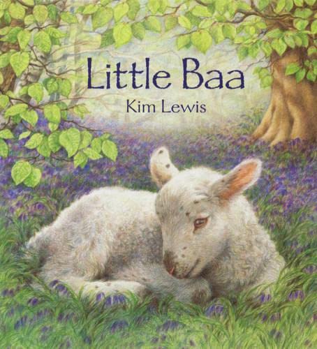 9781844288199: Little Baa Board Book