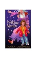 9781844289646: Waking Merlin