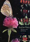 Imagen de archivo de Butterflies a la venta por WorldofBooks