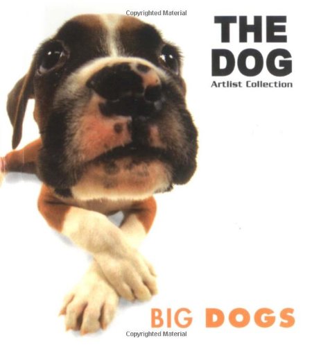Imagen de archivo de Big Dogs Dog Series a la venta por PBShop.store US
