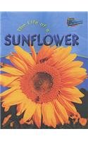 Stock image for Raintree Perspectives: Life Cycles - the Life of a Sunflower (Raintree Perspectives) for sale by AwesomeBooks