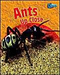 Ants Up Close (Raintree Perspectives: Minibeasts Up Close) (9781844433490) by Birch, Robin