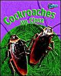 Cockroaches Up Close (Raintree Perspectives: Minibeasts Up Close) (9781844433513) by Birch, Robin