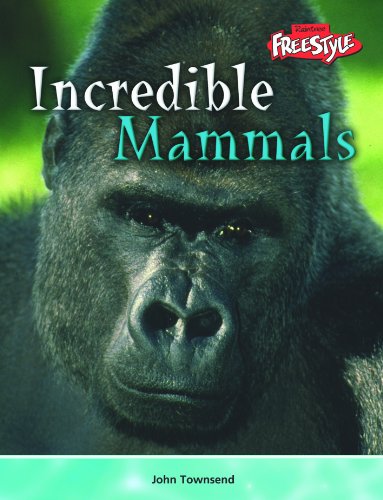 Incredible Creatures: Pack A (Incredible Creatures): Pack A (Incredible Creatures) (9781844434558) by John Townsend