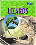 Imagen de archivo de Raintree Perspectives: the Wild Side of Pets: Lizards Hardback (Raintree Perspectives) a la venta por WorldofBooks