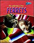 Imagen de archivo de Ferrets (Raintree Perspectives: The Wild Side of Pets) a la venta por MusicMagpie