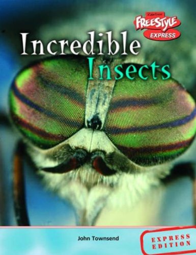 9781844435180: Freestyle Express Incredible Creatures Insects