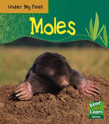 Read and Learn: Under My Feet - Moles (Read & Learn) (Read & Learn) (9781844437313) by Patricia Whitehouse