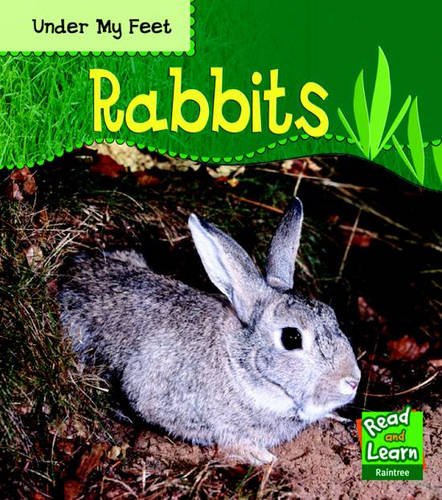 Rabbits (9781844437375) by Patricia Whitehouse