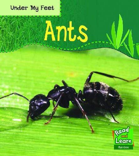 Read and Learn: Under My Feet - Ants (9781844437436) by Patricia Whitehouse