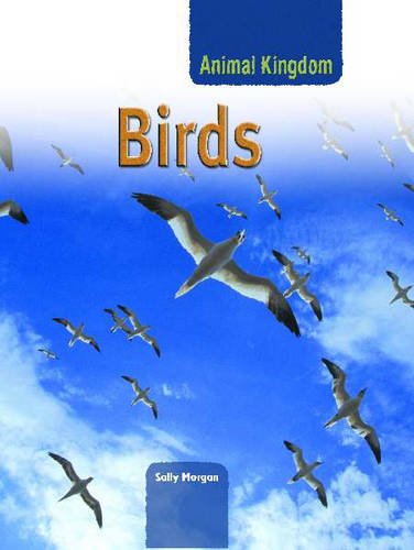 Beispielbild fr Animal Kingdom: Birds zum Verkauf von Better World Books