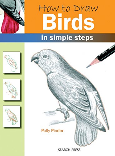 Stock image for How to Draw Birds: in simple steps for sale by Jenson Books Inc