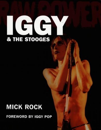 Stock image for Raw Power: Iggy and the Stooges for sale by Black Cat Books
