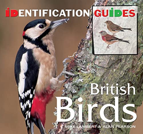 Beispielbild fr British Birds: Identification Guide (Identification Guides) zum Verkauf von AwesomeBooks