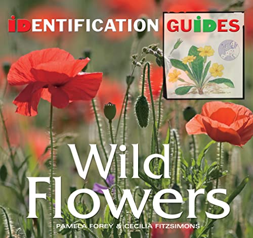 Stock image for Wild Flowers (Identification Guides) for sale by AwesomeBooks
