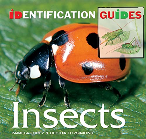 Insects: Identification Guide (Identification Guides) (9781844519200) by Forey, Pamela; Fitzsimons, Cecilia