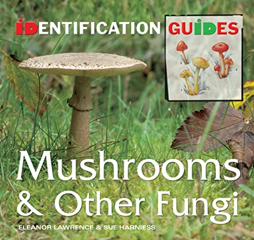 Stock image for Mushrooms & Other Fungi: Identification Guide (Identification Guides) for sale by pristina