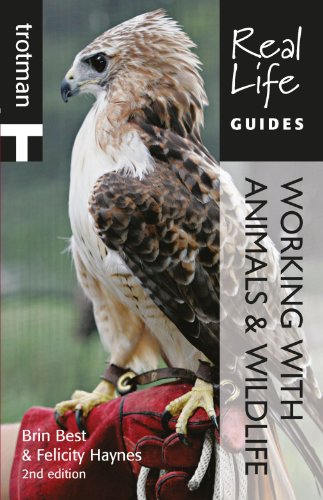 Stock image for Real Life Guides: Working With Animals and Wildlife for sale by Reuseabook
