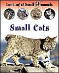 LOOKING AT SMALL MAMMALS SMALL CATS (9781844581047) by Morgan, Sally