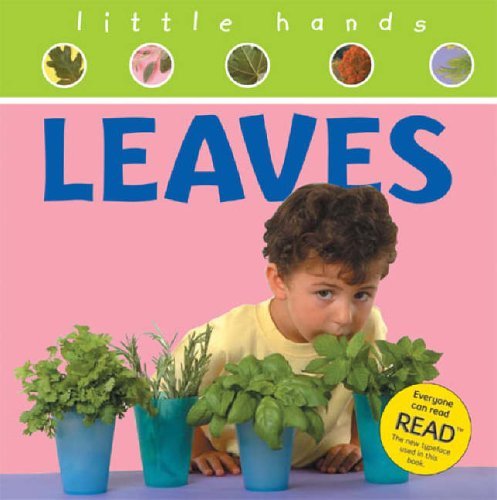 Stock image for Little Hands - Leaves for sale by WorldofBooks