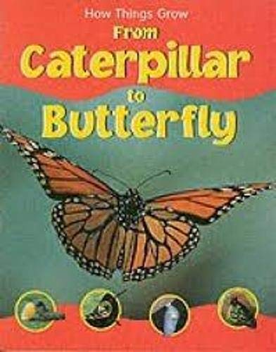 From Caterpillar to Butterfly (9781844582556) by Sally Morgan