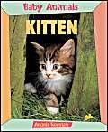 9781844584901: Kitten