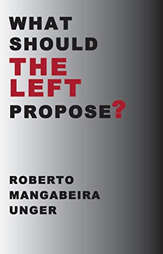 Stock image for What Should the Left Propose? for sale by Better World Books: West