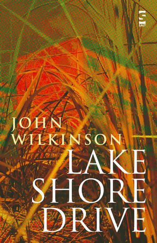 Imagen de archivo de Lake Shore Drive (Salt Modern Poets) a la venta por Anybook.com
