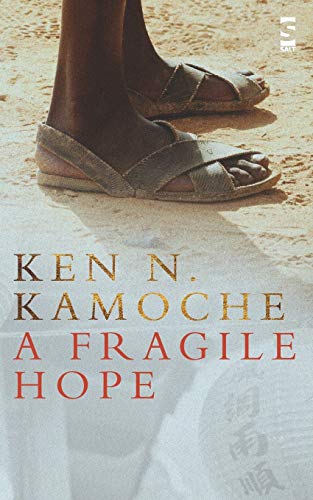 9781844713202: A Fragile Hope (Salt Modern Fiction S.)