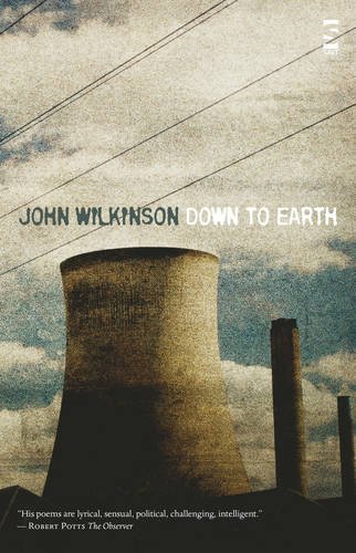 Down to Earth (Salt Modern Poets) (9781844714629) by John Wilkinson