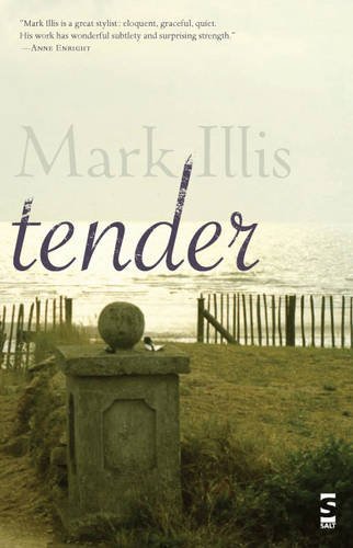 Beispielbild fr Tender (Salt Modern Fiction S.) zum Verkauf von WorldofBooks