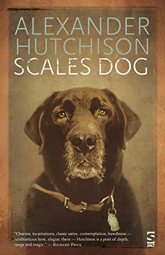 Stock image for Scales Dog New and Selected Poems Salt Modern Poets for sale by PBShop.store US