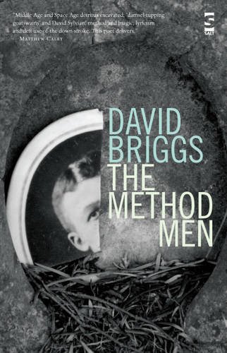 The Method Men (Salt Modern Poets) (9781844717286) by Briggs, Mr David