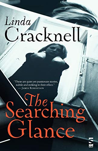 9781844717439: The Searching Glance (Salt Modern Fiction)