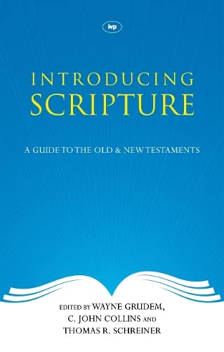 Imagen de archivo de Introducing Scripture a la venta por Goldstone Books