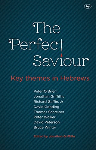 9781844745838: The Perfect Saviour: Key Themes in Hebrews