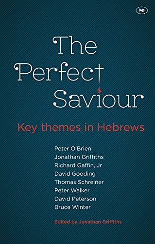 Imagen de archivo de The Perfect Saviour: Key Themes in Hebrews a la venta por WorldofBooks