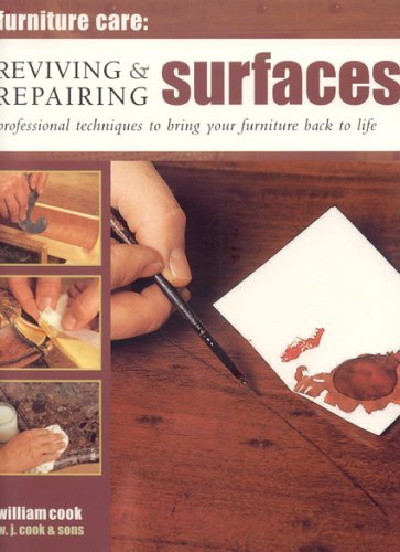 Furniture Care: Reviving and Repairing Surfaces (9781844760954) by Cook, William J.
