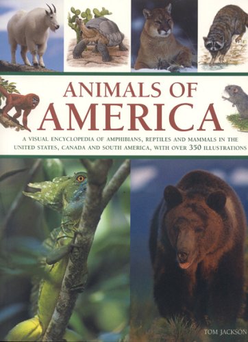 Imagen de archivo de Animals of America a la venta por Blackwell's