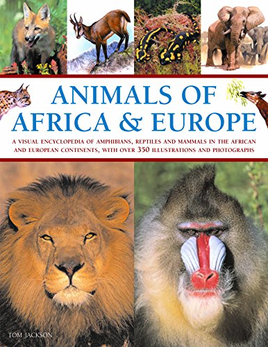 Stock image for Animals of Africa &amp; Europe for sale by Blackwell's