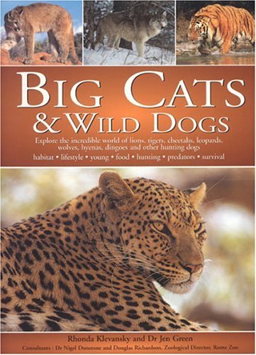 Imagen de archivo de Big Cats and Wild Dogs: Explore the Incredible World and Lions, Tigers, Cheetahs, Leopards, Wolves, Hyenas, Dingos and Other Hunting Dogs a la venta por Revaluation Books