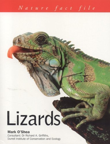 Nature Factfile: Lizards (9781844761593) by O'Shea, Mark
